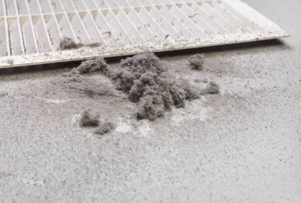 Best HVAC Duct Inspection Services  in Harlan, IA